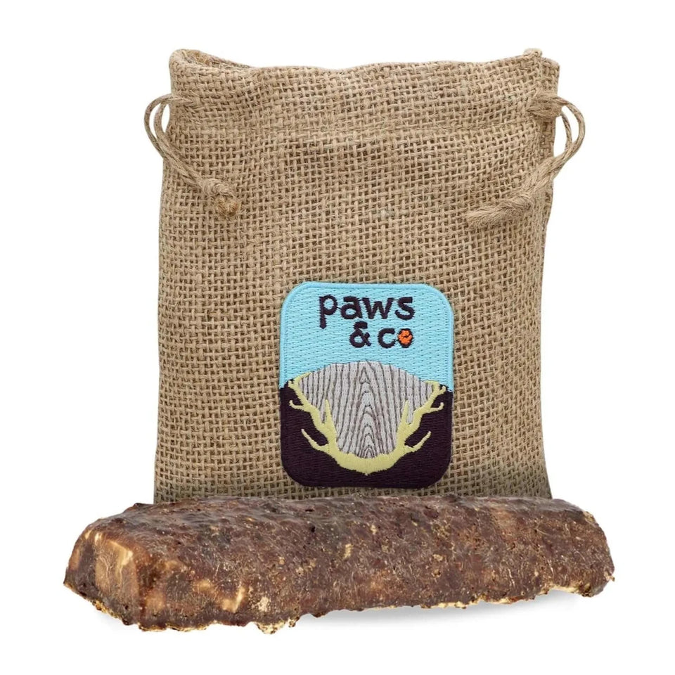 Dipped Split Antler Dog Chew, view 3