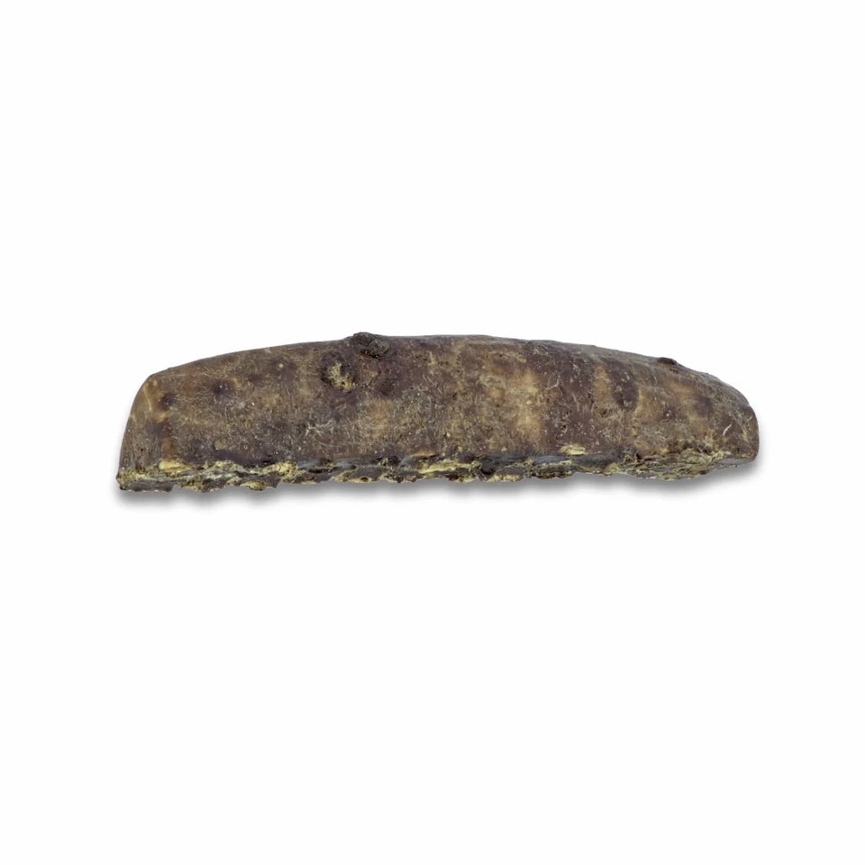 Dipped Split Antler Dog Chew, view 7