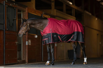 TuffRider Comfy Fit Waterproof Winter Horse Blanket, Medium Weight, Red/69