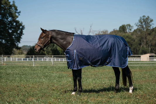 TuffRider Comfy Fit 1200 D RipStop Waterproof/Breathable Comfy Winter Turnout Blanket Medium Weight 200 GSM Standard Neck W/Adjustable Neck - Single Sheet - Navy w/Blue/Grey Trim -69