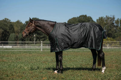TuffRider Comfy Fit Waterproof Winter Horse Blanket, Medium Weight, Black/69