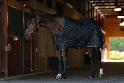 TuffRider Kozy Komfort Stable Blanket With Diamond Quilting -420 D 200