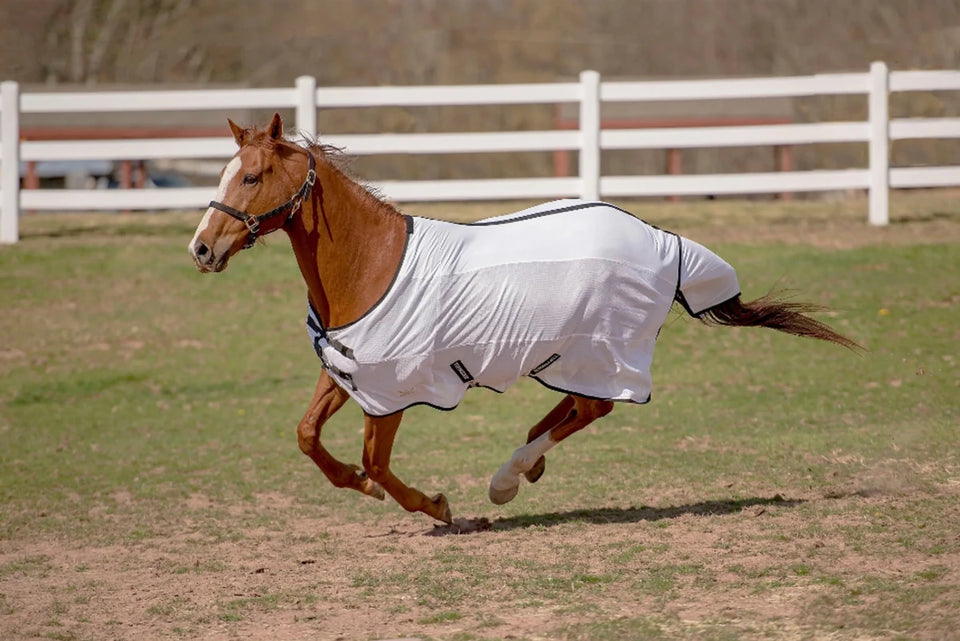 Horse Fly Sheet - CoolMax & Mesh Standard Neck Fly Sheet with Fabric &, view 9