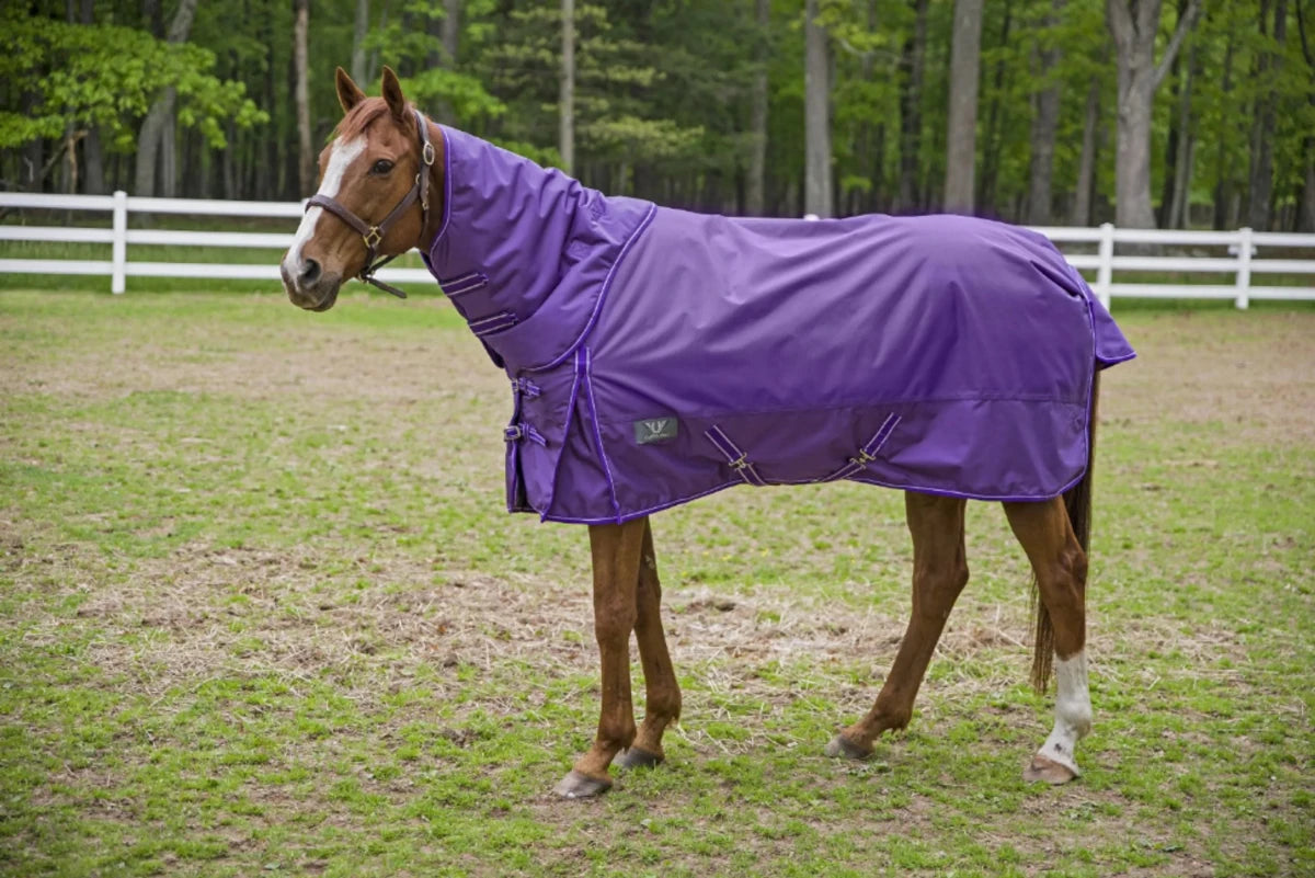 Horse wearing a purple TuffRider 1680 D Super Comfy Detachable Neck Blanket in a grassy paddock with white fence