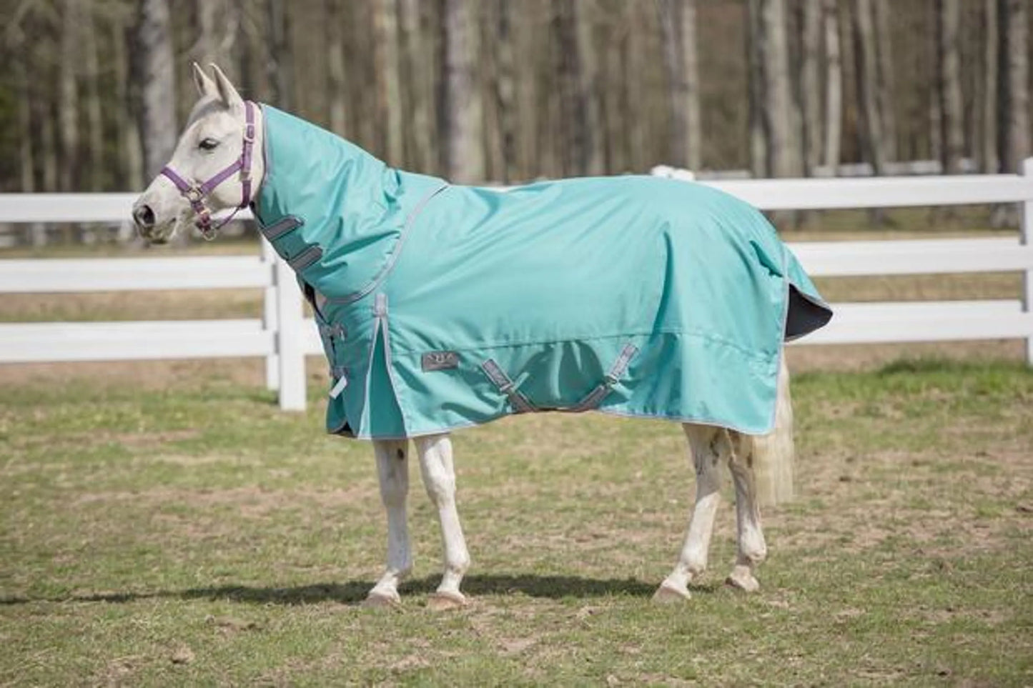 TuffRider 1200 D Comfy Winter Medium Weight Turnout Blanket w/ Detachable Neck- 200 GSM- Turquoise- 69