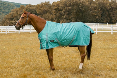 TuffRider 600D Comfy Waterproof Winter Blanket, Turquoise/69