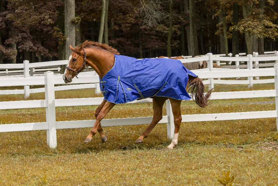 TuffRider 600D Comfy Waterproof Winter Blanket, view 50