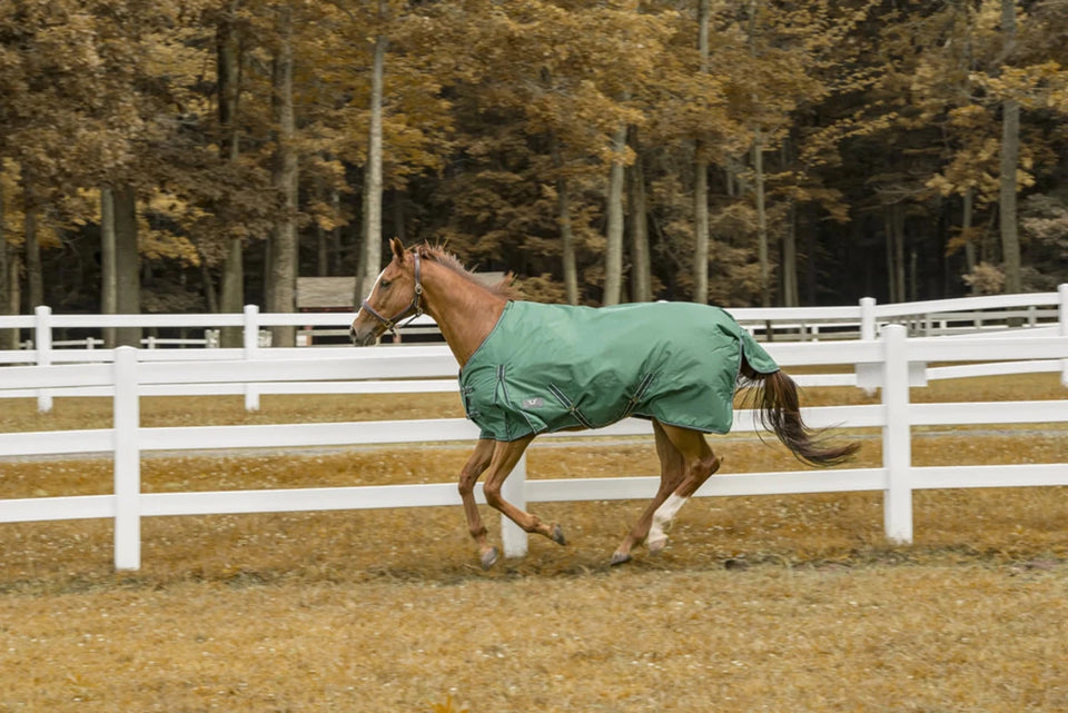 TuffRider 600D Comfy Waterproof Winter Blanket, view 54