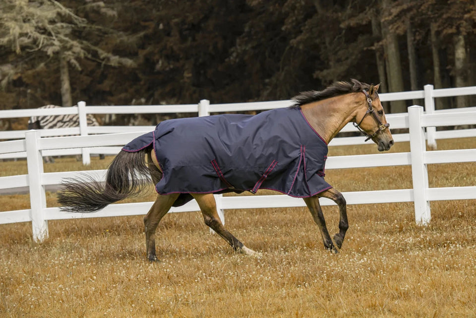TuffRider 600D Comfy Waterproof Winter Blanket, Navy/84, view 20