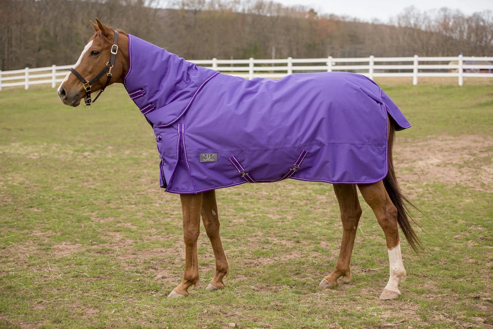 TuffRider 600 D Comfy Winter Medium Weight Turnout Blanket with Combo, Purple/72, view 20