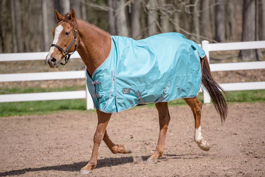 TuffRider 600 D Comfy Winter Standard Neck Turnout Sheet- Turquoise- 69