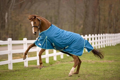 Tuffrider Ecorider 1200 D Medium Weight Standard Neck Turnout Blanket, Seaport/sea/78