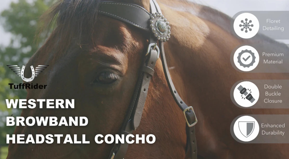 TuffRider Western Browband Concho Headstall on horse showcasing premium material and double buckle closure features