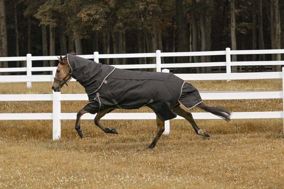 TuffRider 4-in-1 Waterproof All Season Blanket, view 19