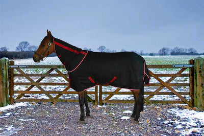 Horse Turnout Blanket - TuffRider Optimum 1680D Medium Weight 220 g, Black/69