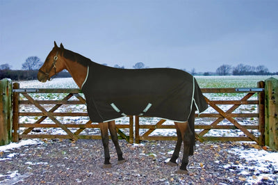 Medium Weight Turnout Blanket - 220 g Waterproof Horse Blanket with, Black/66