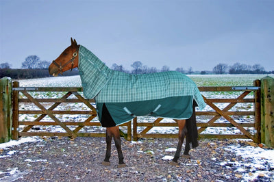 Horse Turnout Blanket - TuffRider Bonum 1200D Ripstop Medium Weight, Deep teal/teal plaid/66