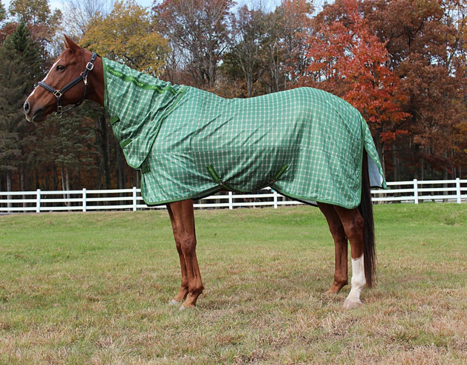 Horse Fly Sheet - TuffRider Sport Mesh Plaid Fly Protection Blanket, view 17