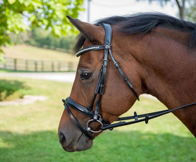 Henri de Rivel Diamonte Dressage Bridle, black/COB