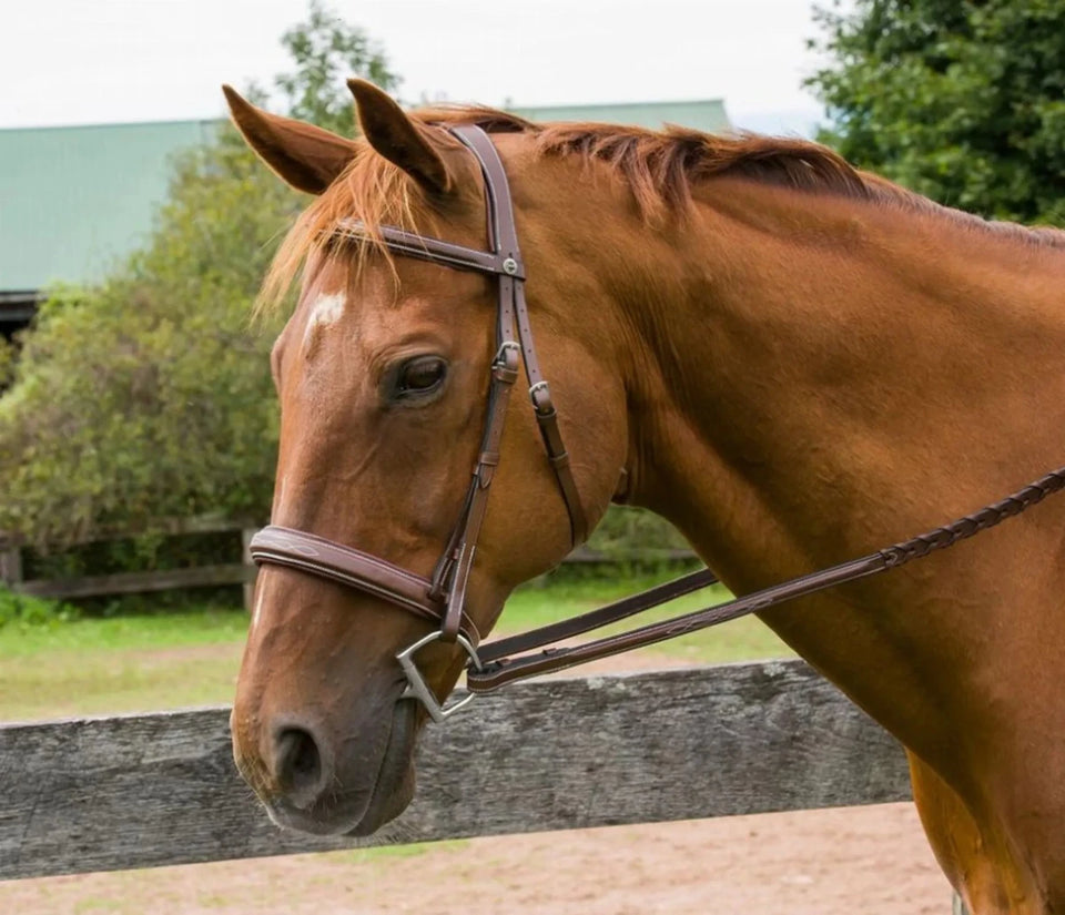 Henri de Rivel Pro Mono Crown Bridle with Padded Wide Noseband and, Australian nut/PONY, view 8