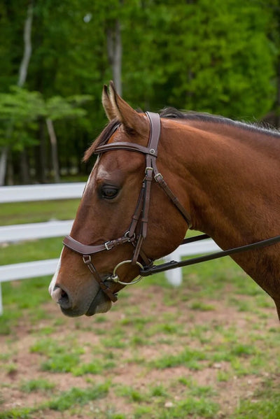 Henri de Rivel Pro Anatomical Bridle, Australian Nut, Oversize