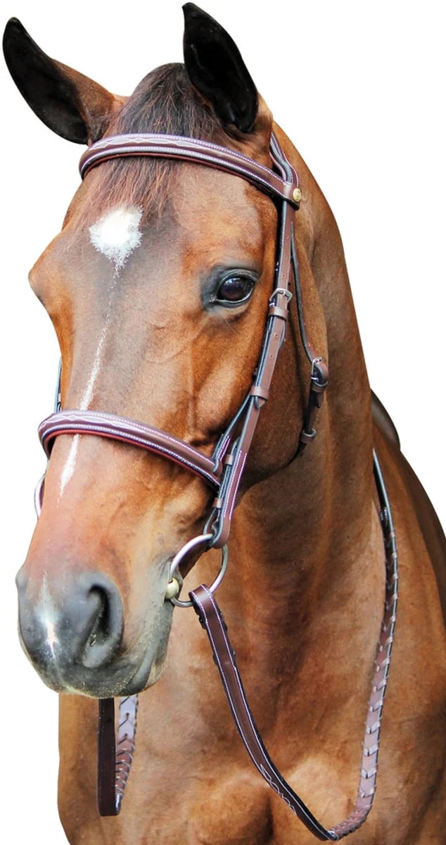 Horse Bridle - Henri de Rivel Pro Fancy Raised Comfort Crown Padded, Oak bark/OVERSIZE
