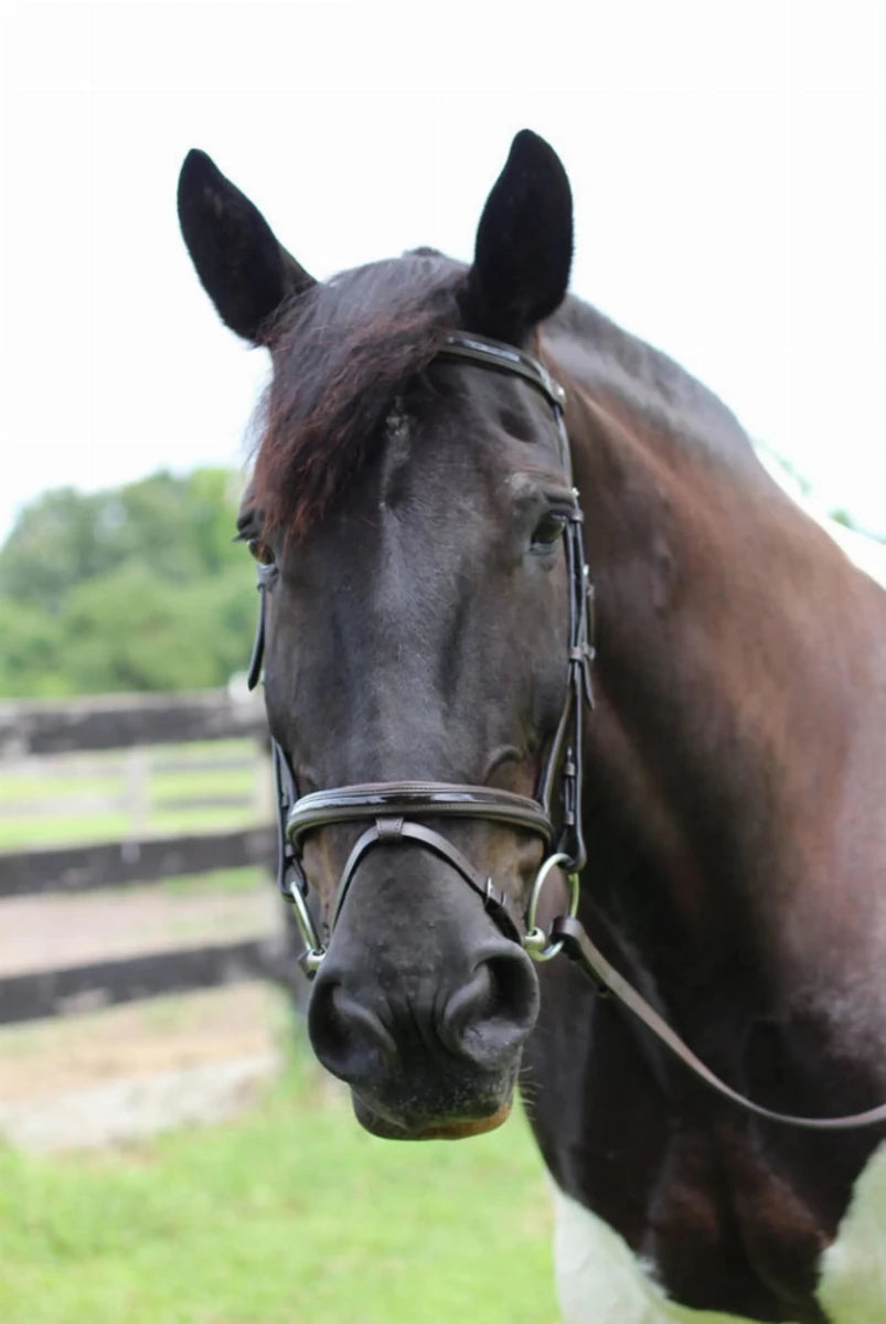 Patent Leather Horse Bridle - Padded Monocrownpiece Bridle with Flash, view 9