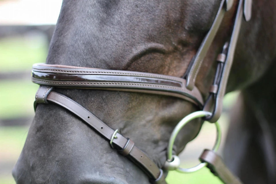 Patent Leather Horse Bridle - Padded Monocrownpiece Bridle with Flash, view 10