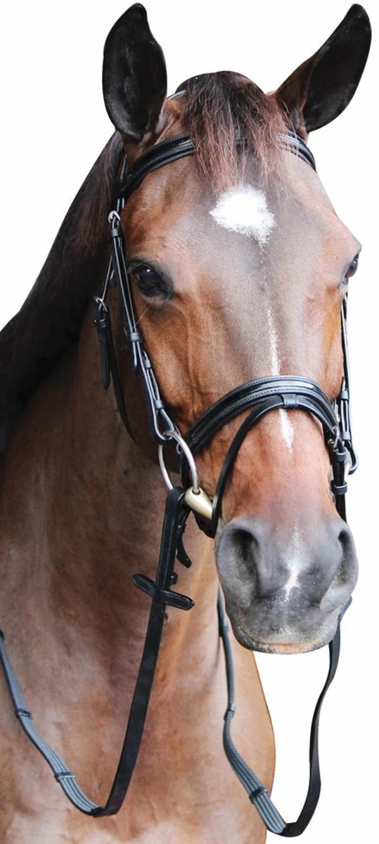Patent Leather Horse Bridle - Padded Monocrownpiece Bridle with Flash, Black/OVERSIZE, view 6