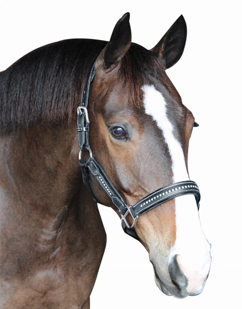 Padded Crystal Halter - Luxury Leather Halter with Sparkling Crystals, Black/PONY, view 8