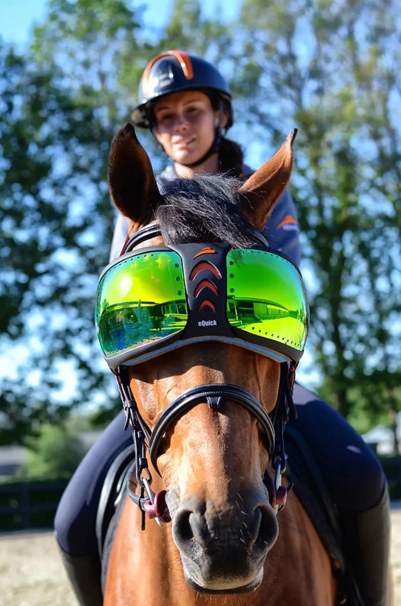 eQuick eVysor transparent, Rainbow/STD, view 6