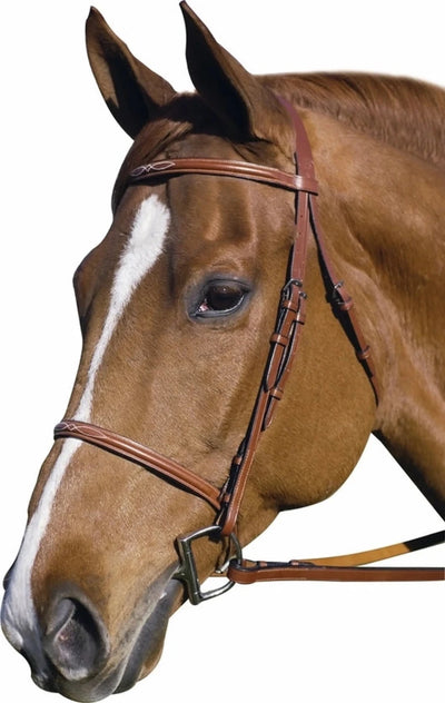 Fancy Raised Bridle - Quality Leather Bridle with Laced Reins, Australian nut/COB