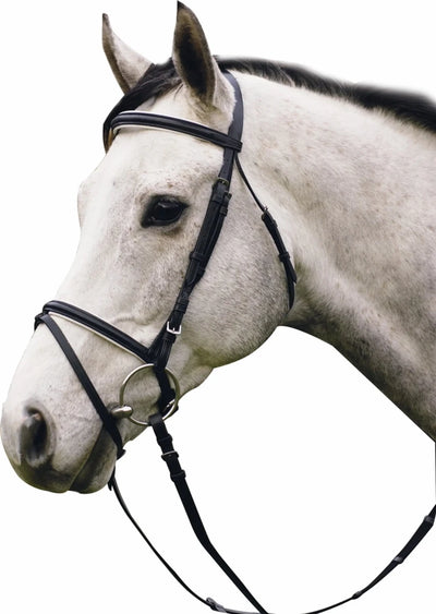 Henri de Rivel Pro Padded Dressage Bridle with Flash and Web Reins, Black/white/OVERSIZE
