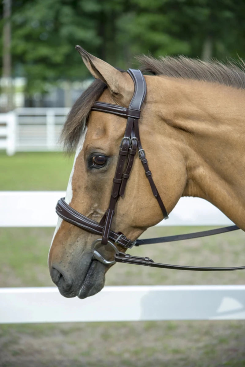 Henri de Rivel Pro Mono-Crown Padded Wide Noseband Bridle, view 5