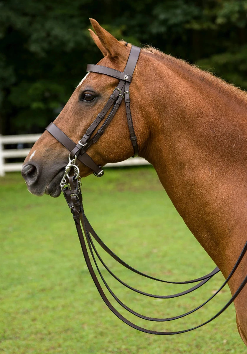 Henri De Rivel Polo Bridle With Double Reins, view 10