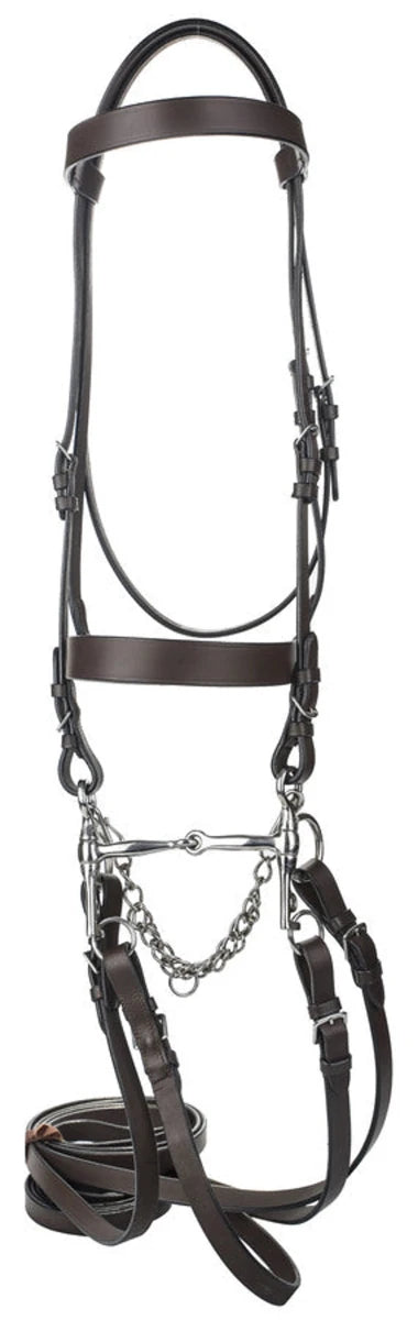 Henri De Rivel Polo Bridle With Double Reins, view 5
