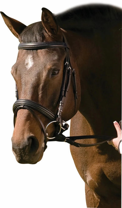 Padded Dressage Bridle with Crank Flash Noseband, Black/COB