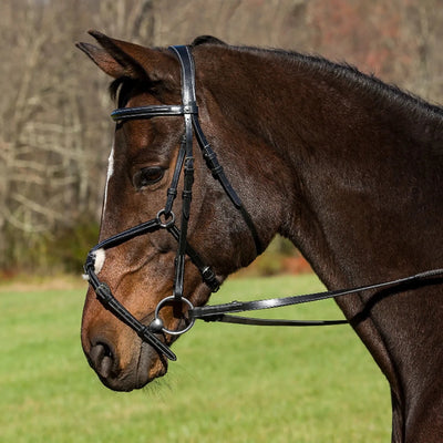 Horse Bridle - Henri de Rivel Pro Mono Crown Raised Figure Eight, Black/COB