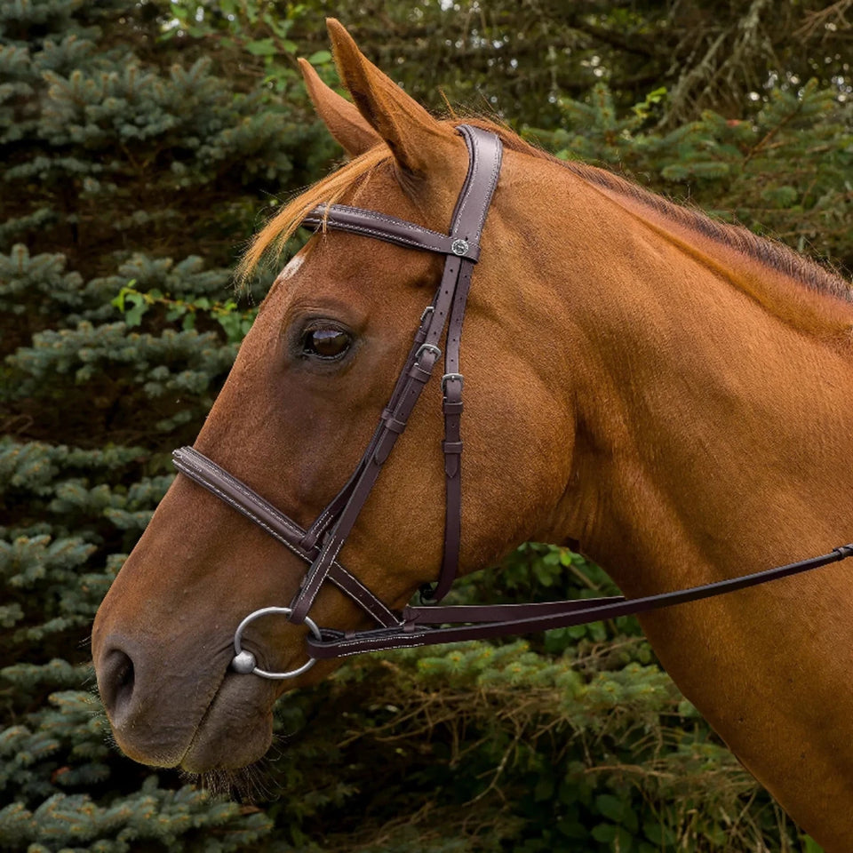 Horse Bridle - Henri de Rivel Pro Mono Crown Fancy Stitched Padded, view 10