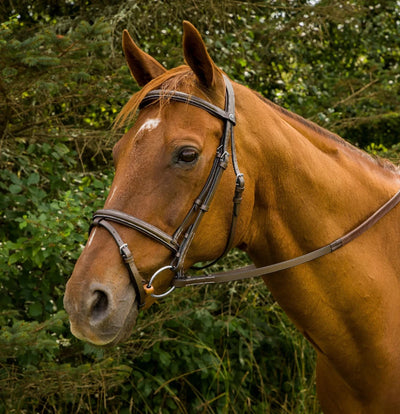 Mono Crown Bridle with Flash - Padded Bridle with Rubber Reins, Havana/COB