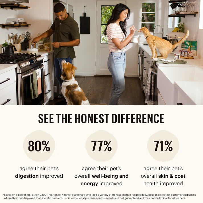 The Honest Kitchen Dog Limited Ingredient Grain-Free Turkey 10 lb. Box