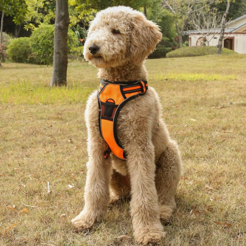 Mr. Peanut's PetTrek Reflective Pet Dog Harness With Matching Dog, view 19