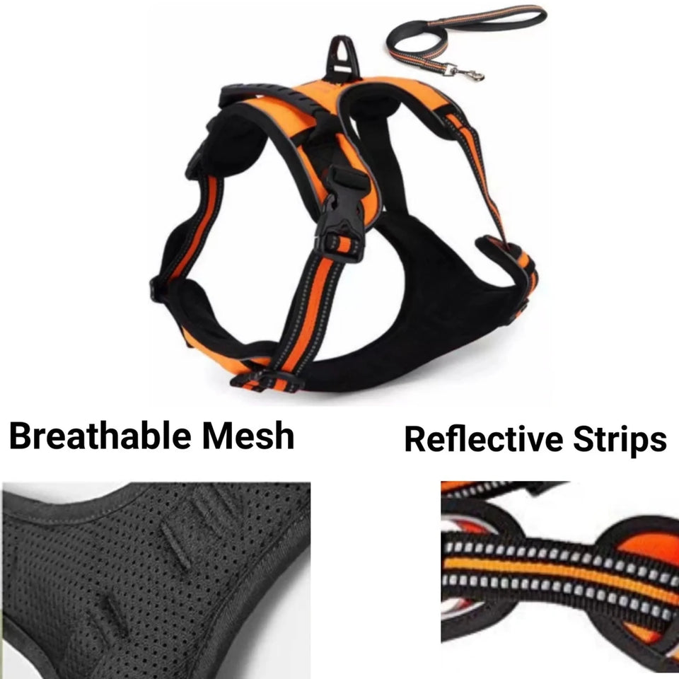 Mr. Peanut's PetTrek Reflective Pet Dog Harness With Matching Dog, view 22