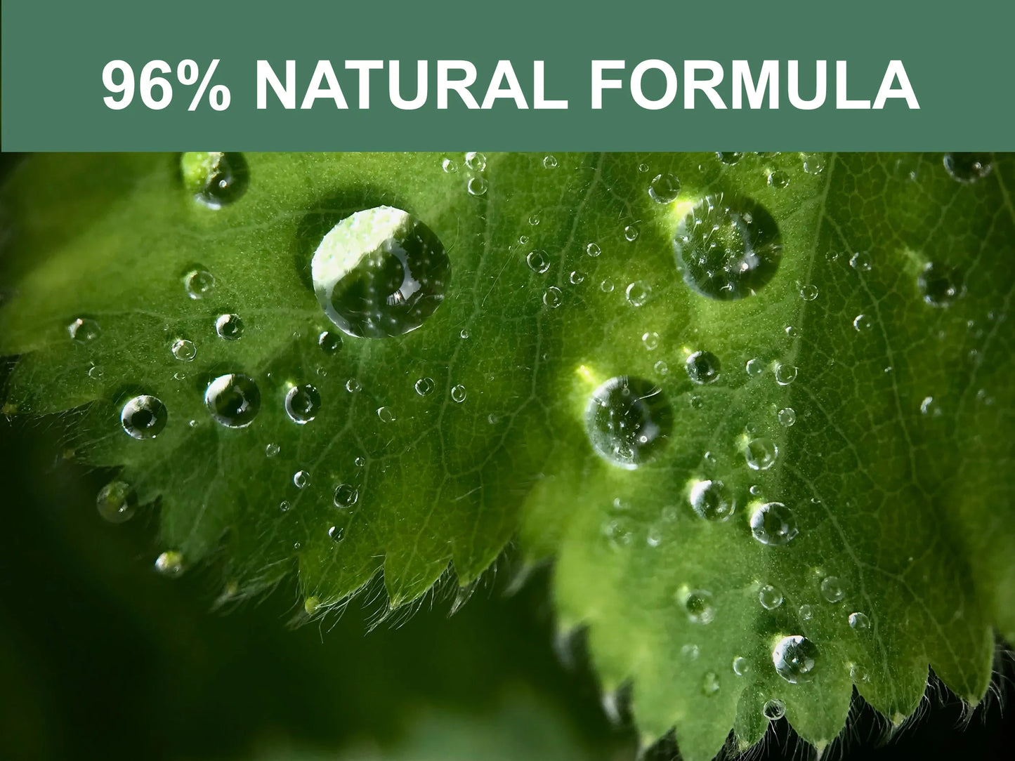 Mr. Peanut's Naturals Pet Wipes - Pets Perfect