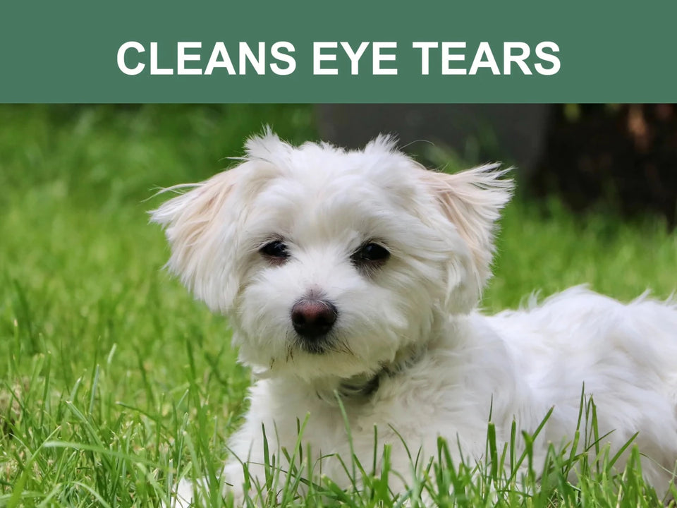 Mr. Peanut's Naturals Pet Wipes, view 6