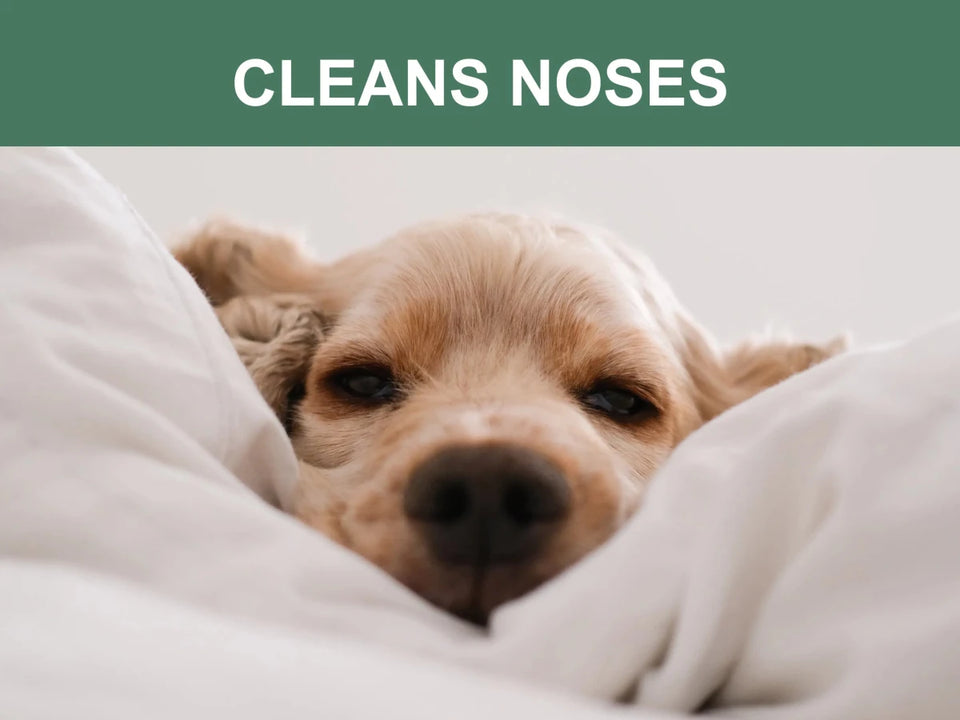 Mr. Peanut's Naturals Pet Wipes, view 7