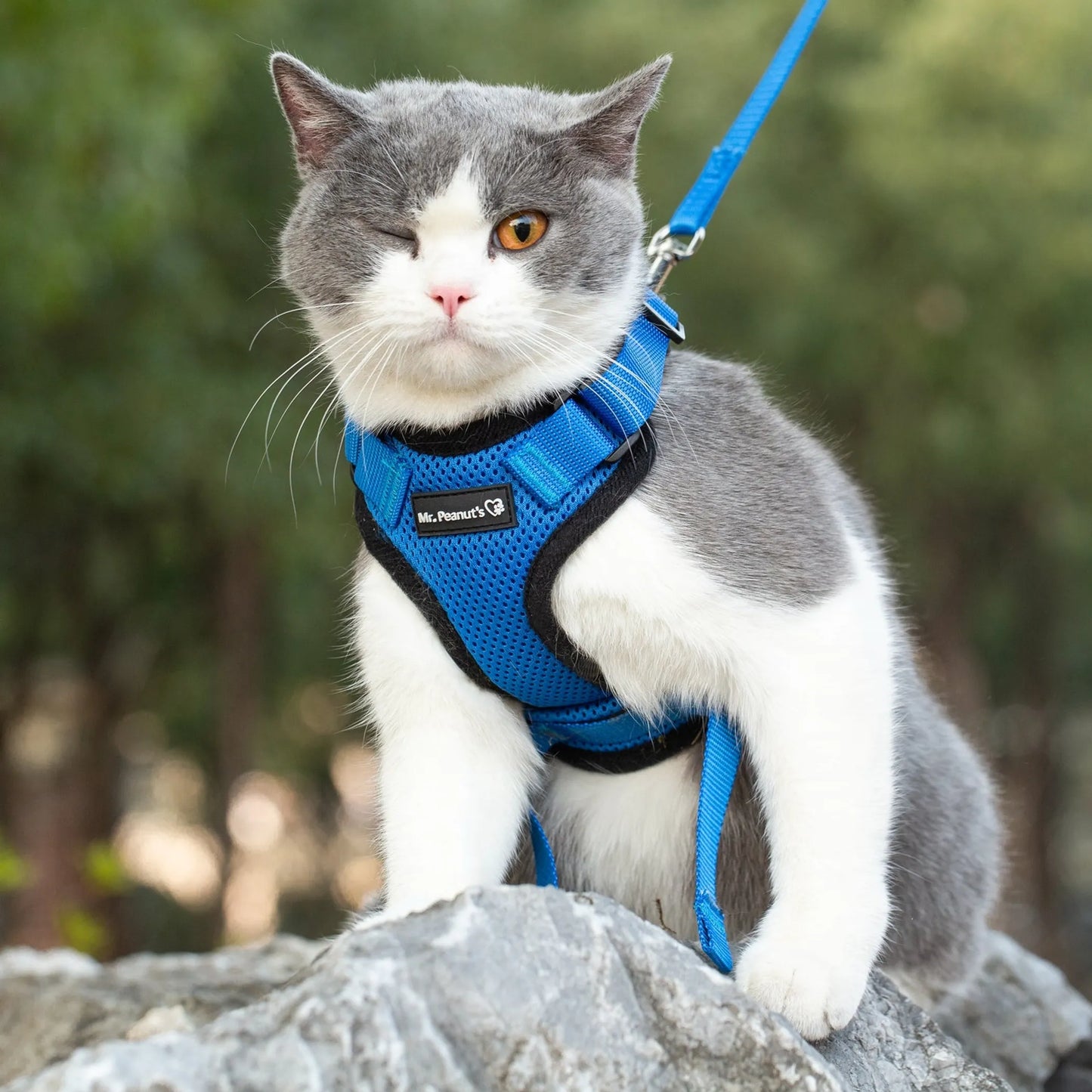 Mr. Peanut's PurrTrek Reflective Cat Harness with Matching Leash - Pets Perfect