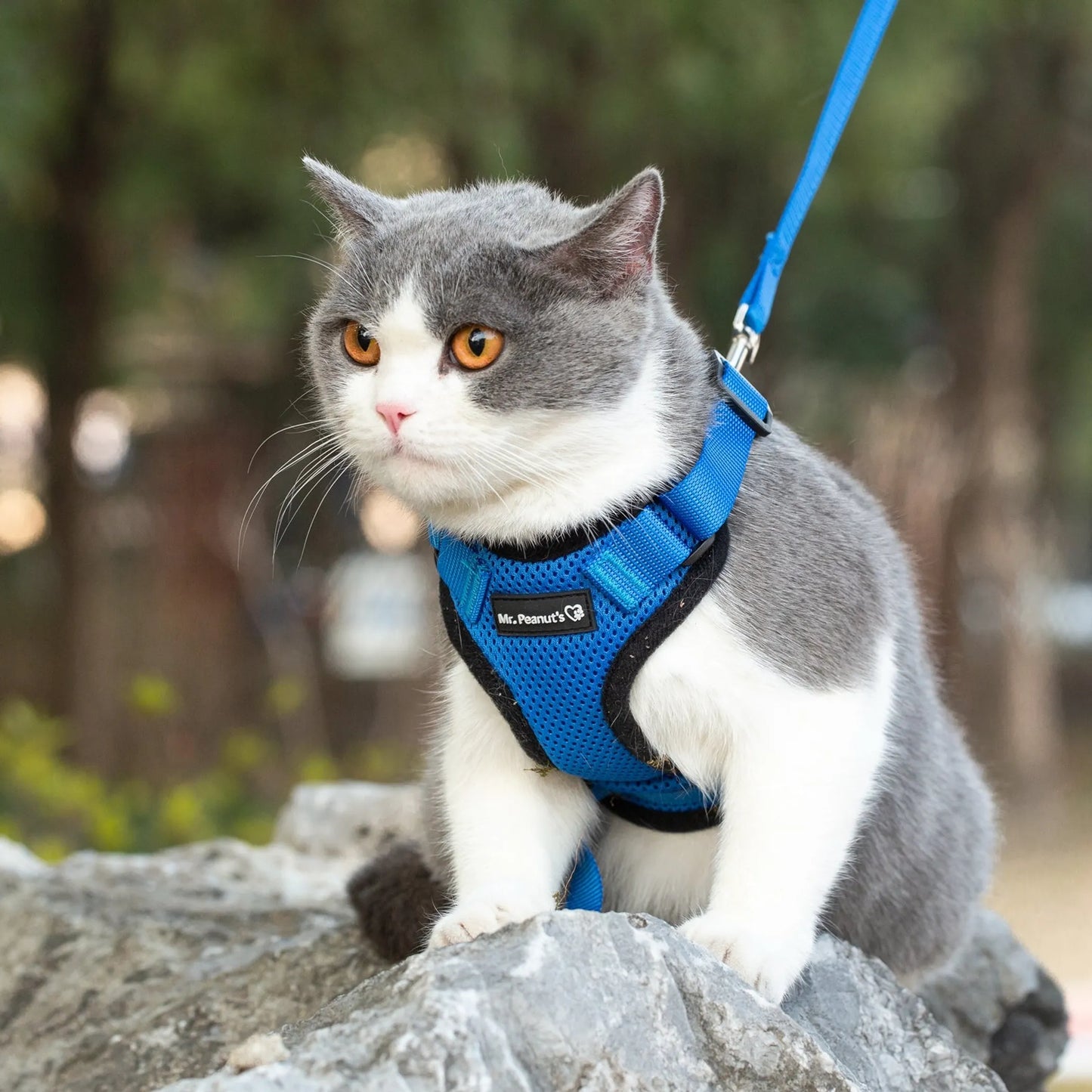 Mr. Peanut's PurrTrek Reflective Cat Harness with Matching Leash - Pets Perfect