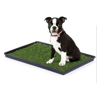 Mr. Peanut's Potty Place - Artificial Grass Puppy Pad for Dogs and, SMALL: 25 IN L X 20 IN W X 1 1/4 IN H/1