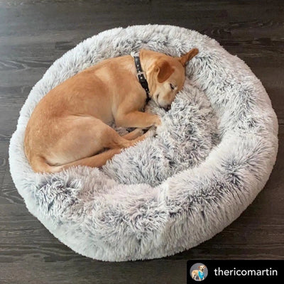 Mr. Peanut's OrthoPlush Pet Bed, Gray two tone/23 IN